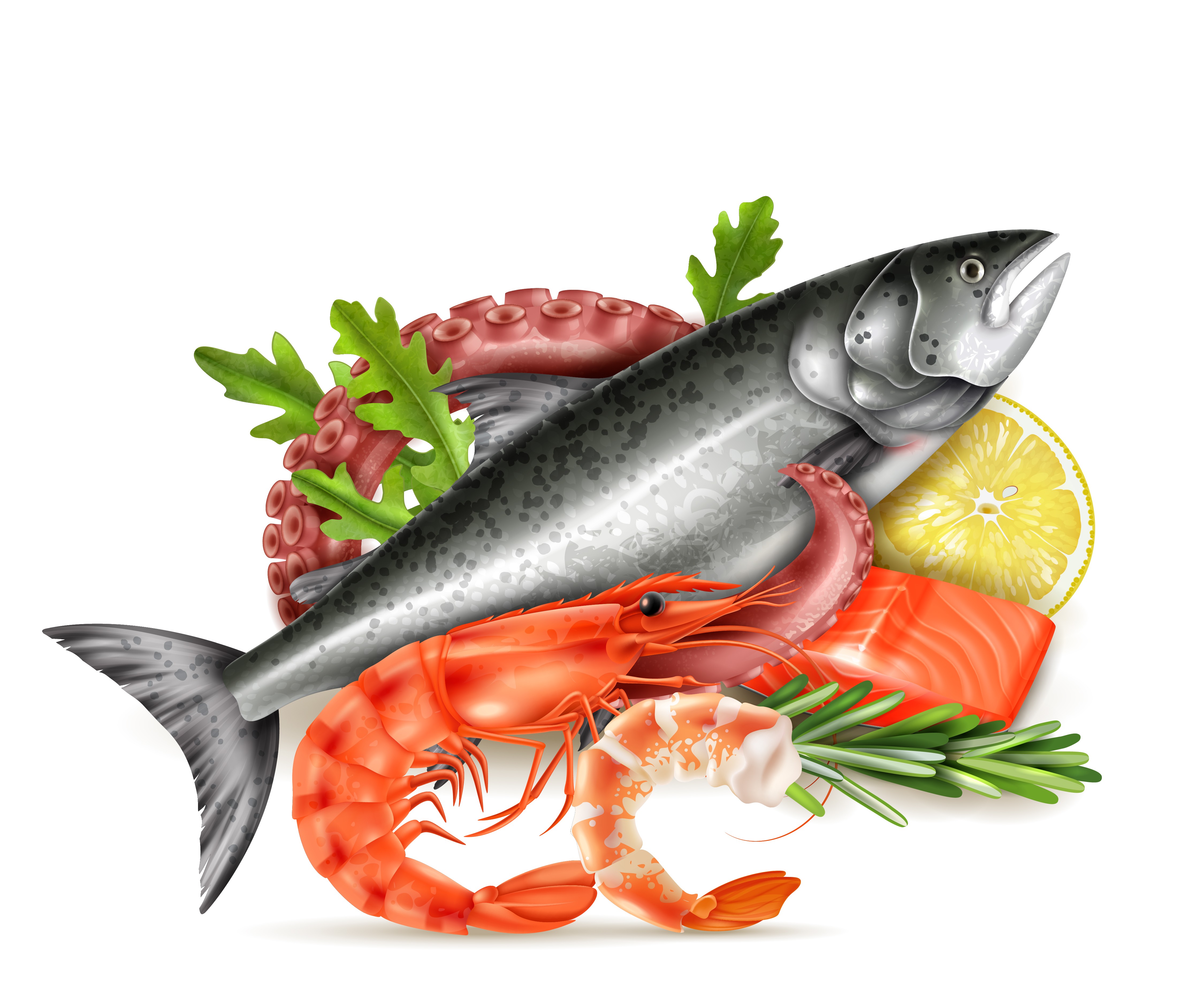 Fresh Food Hub